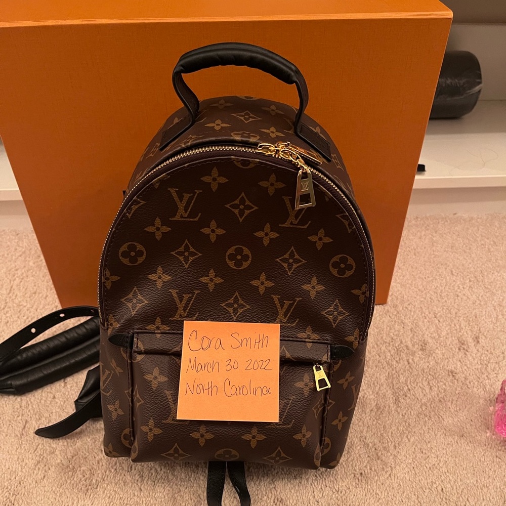 Louis Vuitton Palm Springs backpack PM